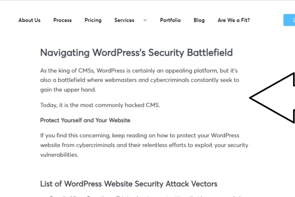 seo content introduction example