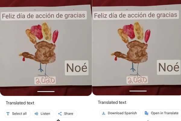 google lens translated text options image