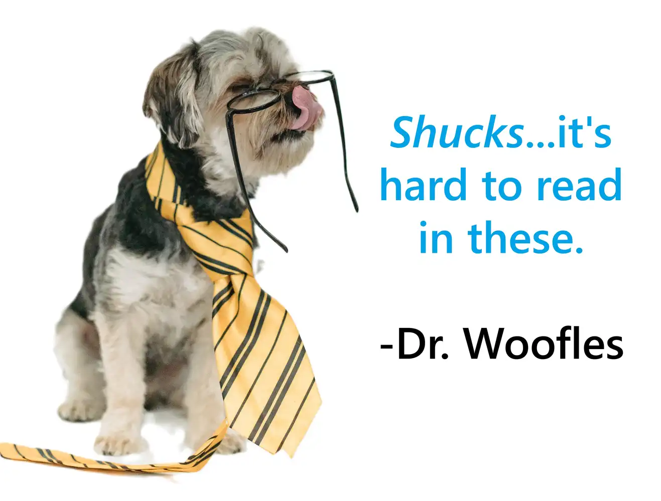 Amusing photo of a small dog wearing oversized glasses and trying to hold up the glasses with his own tongue, evoking a sense of humor and wit in a light-hearted blog post about UX vs UI in web design.
